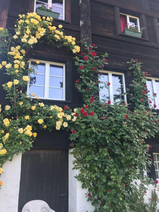 Charming Alps Apartment Perfect For Walk/Cycle/Ski Eschenbach Eksteriør bilde